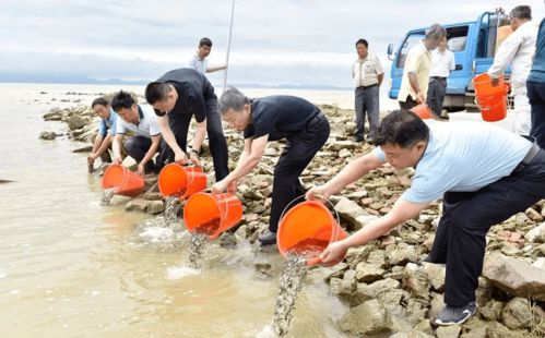 长江禁捕退捕在行动 10年禁渔 巢湖开启 休养生息 模式